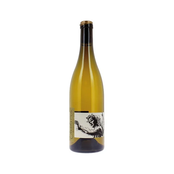 DOMAINE PATTES LOUP CHABLIS