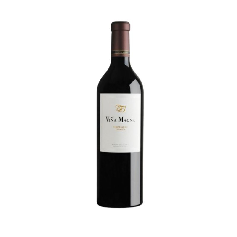 DOMINIO BASCONCILLOS VINA MAGNA CRIANZA RIBERA DEL DUERO